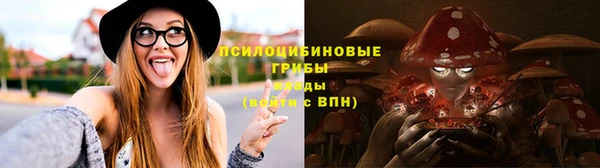 дурь Алексин