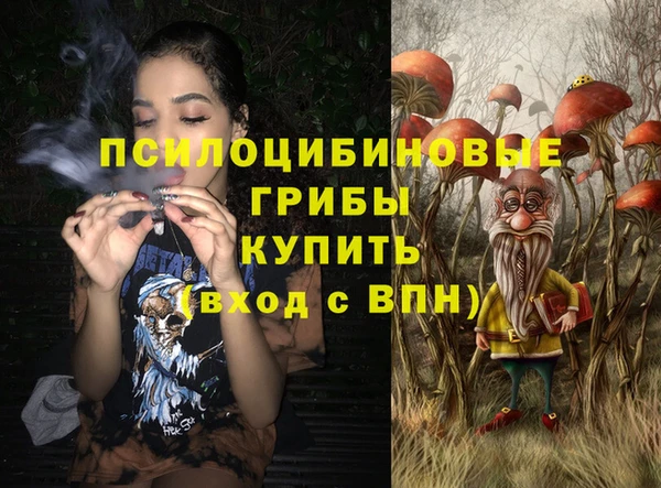 дурь Алексин