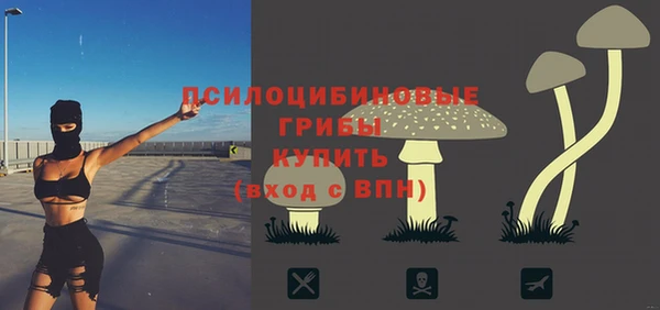 дурь Алексин