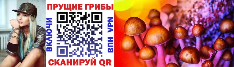 Псилоцибиновые грибы Cubensis  Морозовск 