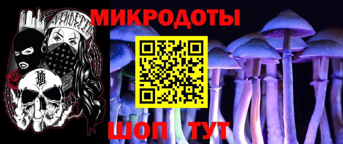 Галлюциногенные грибы прущие грибы Морозовск